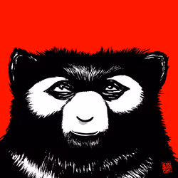 12256084541221245156135028986021526634136884921740396050173767610326855974913