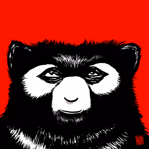 Item #12256084541221245156135028986021526634136884921740396050173767610326855974913 Media