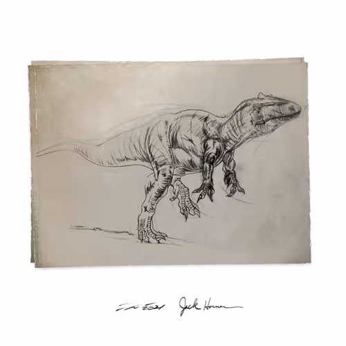 Item #22582927822880265950669941219355019494534003366966592492782895281953849737217 Media