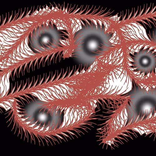 57188514280809533129288607857310155131706757681778650921855896086943872581633