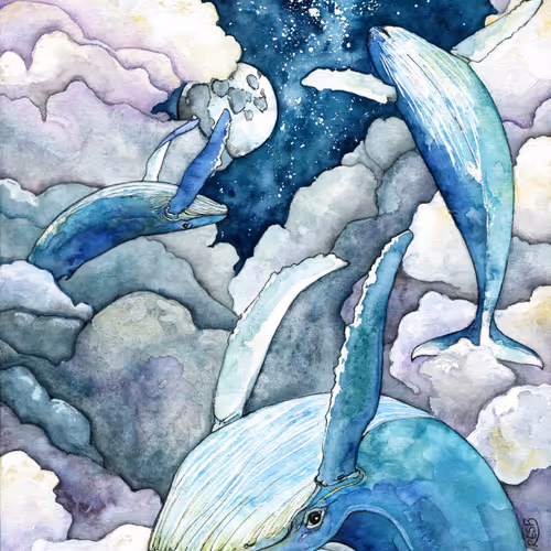 Whale48