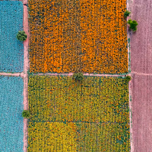 67686649945813211142348116383551297901422610875826896463266851538639882551297