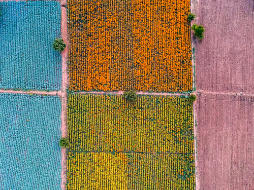 Item #67686649945813211142348116383551297901422610875826896463266851538639882551297 Media