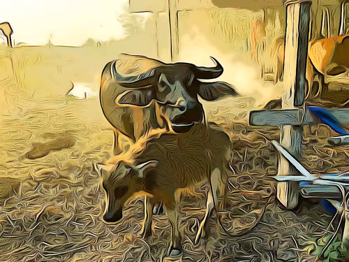 Item #81269833061274051173789884418282317830923519221172308843662164476873026830337 Media