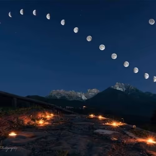 Untitled Collection #89502892