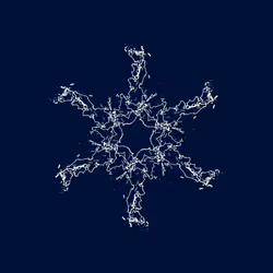 78158401702472350823093113255245789463438705769257444839845420684313429540865