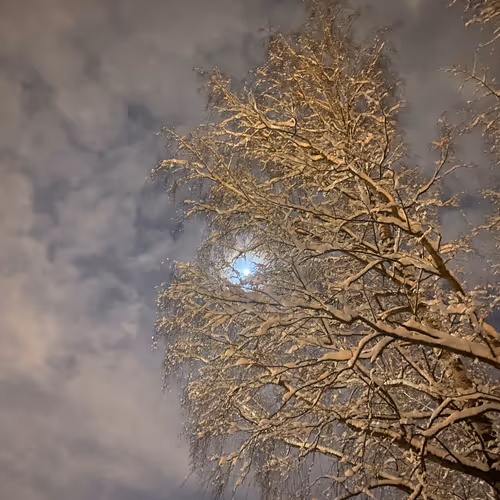 vanstrikerOS Collection