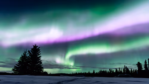 Item #21114313984647103593433237595897787432123742912884964135570648300993095139353 Media