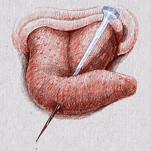 Item #27921743008571817687184646178926159877577224498393299984677393020753111154689 Media