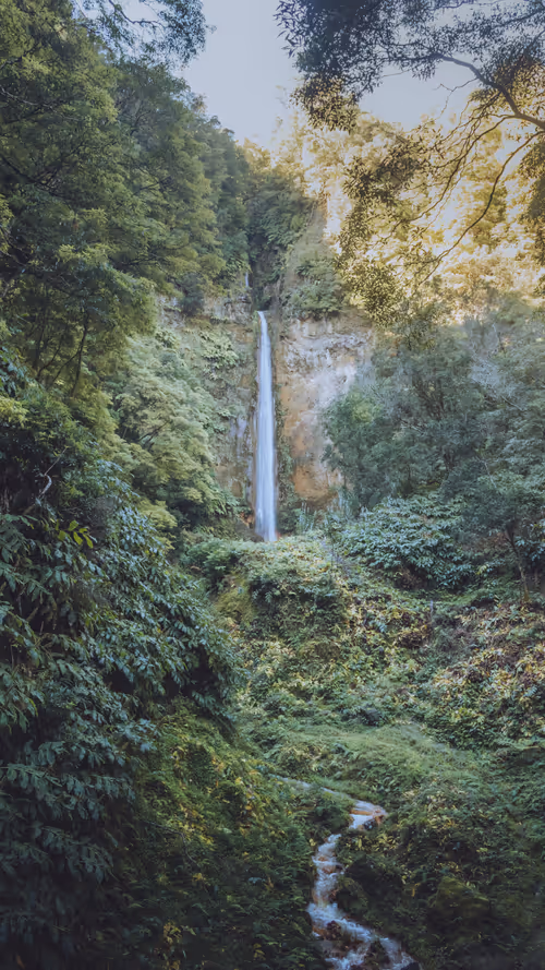 Item #114559856013450229325129635961549851871246812358210188348800658793231936389121 Media