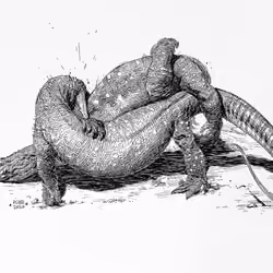 Wrestling Lizards 3