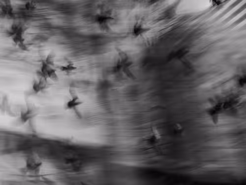 Item #851693033548987460754810935500252986591264363014231626245835919162723008514 Media