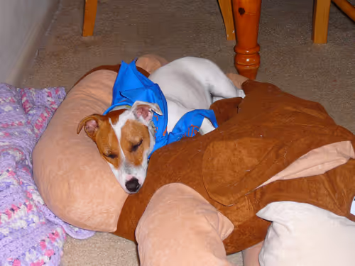 Item #5985210497355107417265215381210579199842884272282595265964883407811911876609 Media