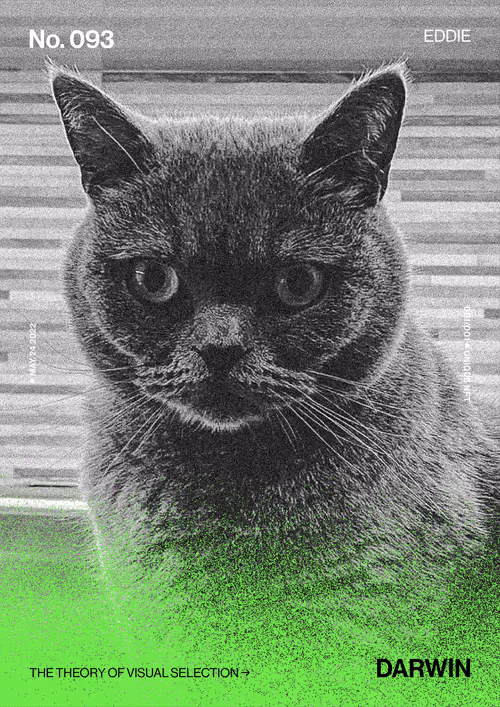 Item #5978613787773959064064561136939516829698711004901919756353002715760428056577 Media