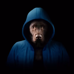 Hoodie Dog #10