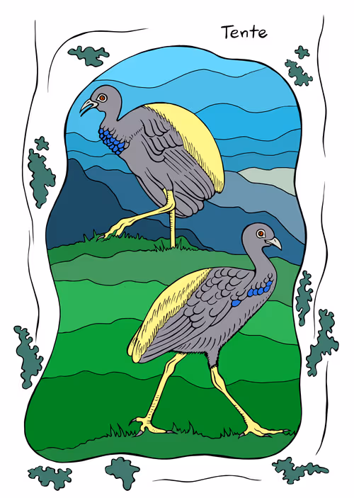 Item #58660196957666730684066954603078342667003526279346528164413612546118154977281 Media