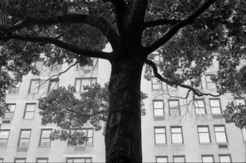 Item #95963115325190495901462437198116018062691407586283509903332718863951633317889 Media