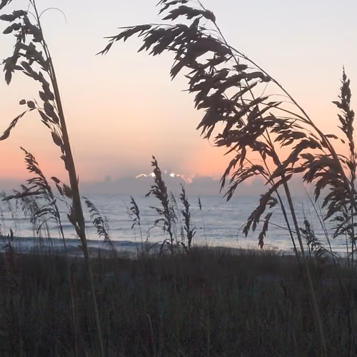 Sunrise through the Dunes