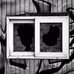 BLACK & WHITE Broken Windows 8/8