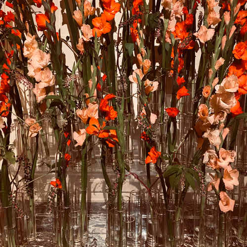 Untitled Collection #82682406 - old