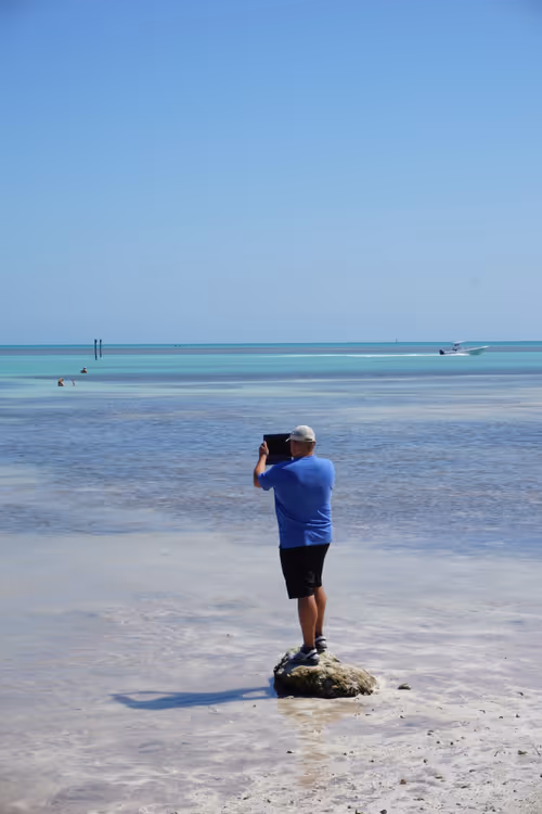 Item #96842992655053546035716442888974081277649883699997265715561715055633744527361 Media