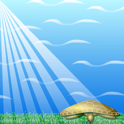 Item #72612071101824359411094763534282884921717231066785007476732026153422160920577 Media