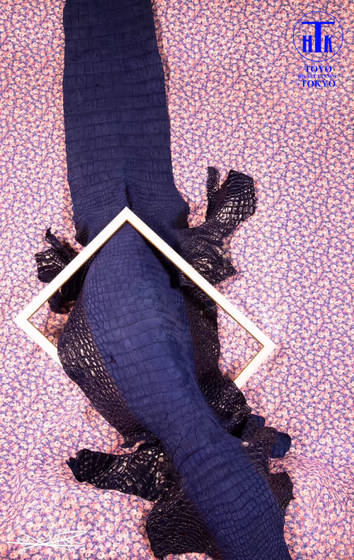 Item #65718052376404825530132698476454308049276015836189851915939897228537219776513 Media