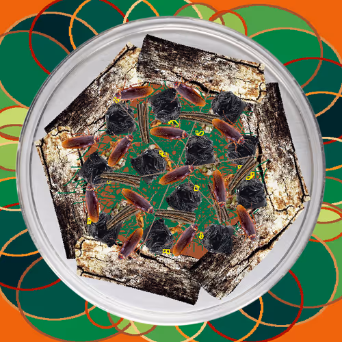 Item #9904244983598080377191155889608568085309669228327026261475657524904544174081 Media