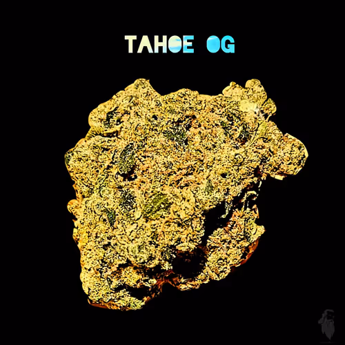 Item #87689570283297516471900235800511228078692535605346005540316604148820847099905 Media