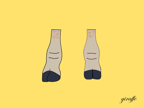 Item #24843950328459654647592333095373915695654115129450378637534313004632668897281 Media