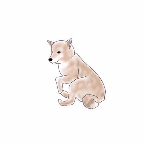 shibainu.