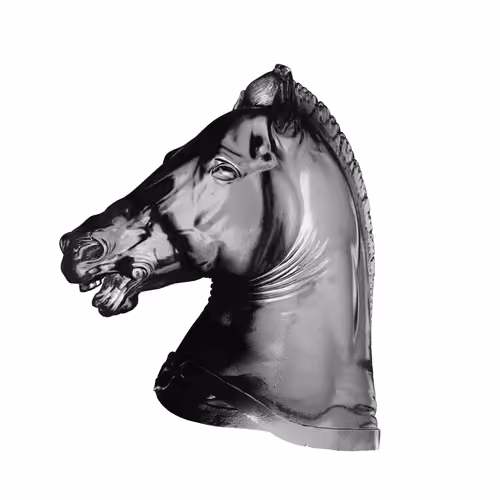 The Stallion