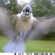 1734531543809133843489377933482413023999267637482300672892242112699336491009