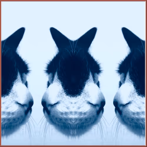 Item #62224154844929677022393842232947945299621837358898658373332336529381104025601 Media