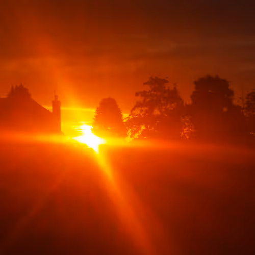 Untitled Collection #40806939