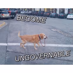 BECOME UNGOVERNABLE #1