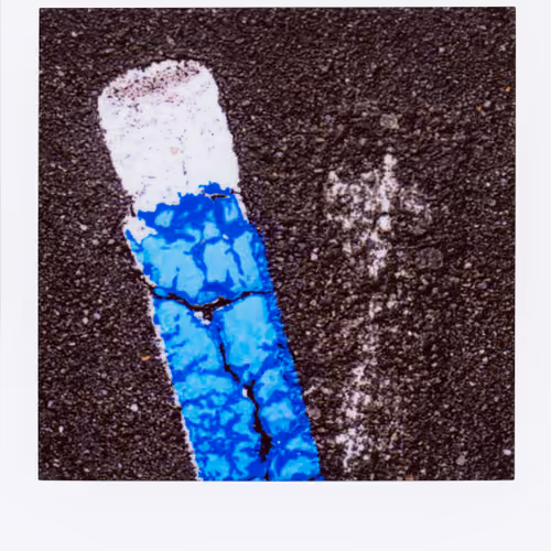 Polaroad #20 - The Scientist