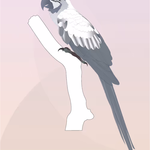 Vector Birds
