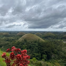 Chocolate hills