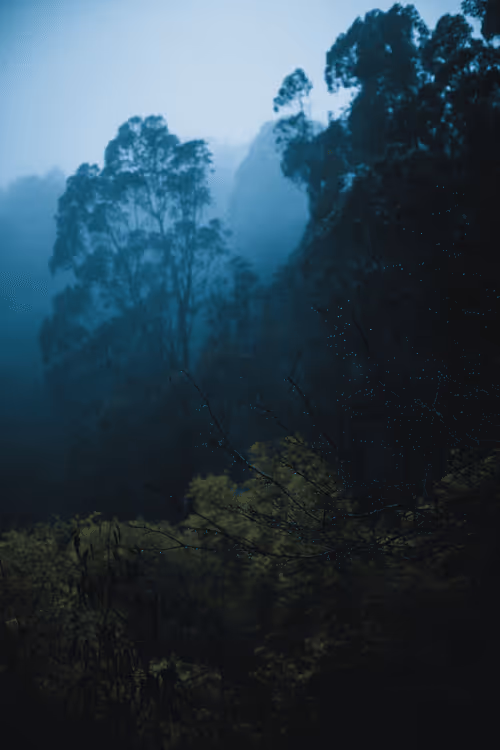 Item #31788909356613404137048829070137069187400346678612286943977180897155357868033 Media