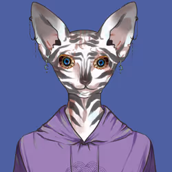 4151474338993718144798529208760612916241330120402653879715629567482143965185