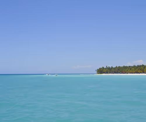 Item #73846468100361229449390011938060762960227547736199732813017540771529025912833 Media