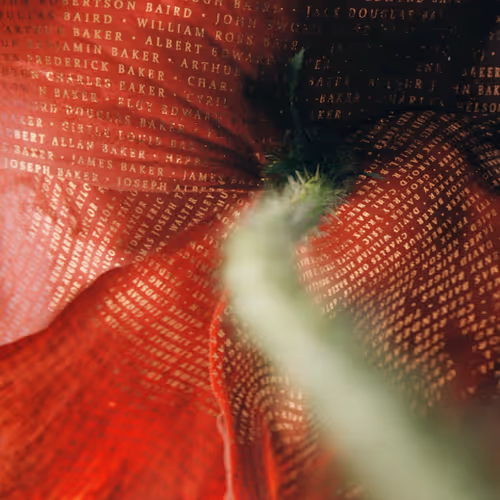 Item #54146082010400626142033190626811009624551032097677302424069293427782431277066 Media