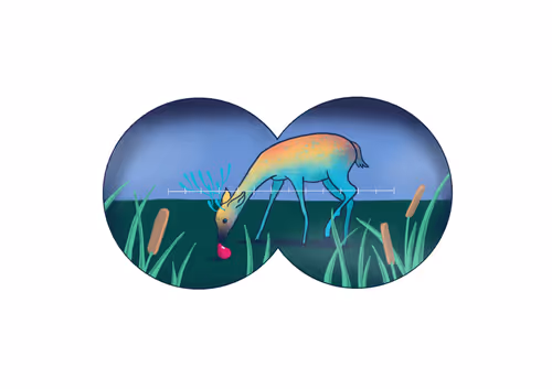 Item #80835903011390063892191322026595591191892848288052856146003411314323153223681 Media