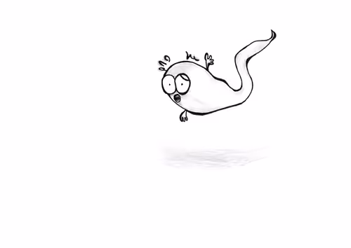 Item #77726416006250011613255342518190216598991548563486375598978460629652381630465 Media