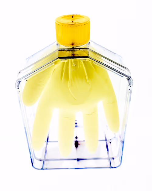 Item #108955583872739655741702358868652756405273862791069305959596897690711763189761 Media