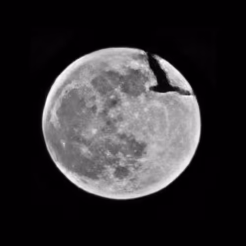 101983409700396166080613188018216707096235636634703201961680544340185047891969