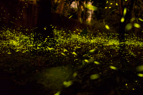 Item #15286439154353413258560728673590493507949724092509999987352070682555772305409 Media