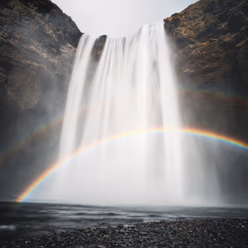 KeithFernandez Collection