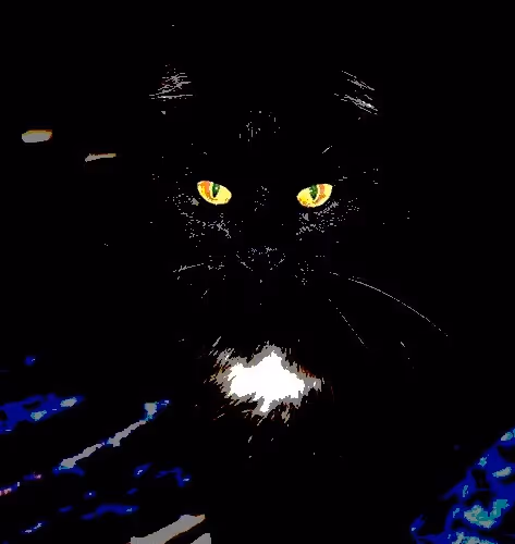 23538819986925566434507765811444276093104658907602947149672917476848347119617